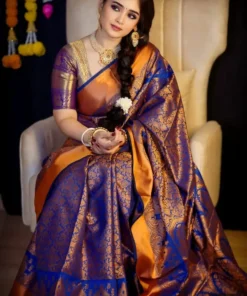 কাঞ্চিপুরাম কাতান শাড়ি